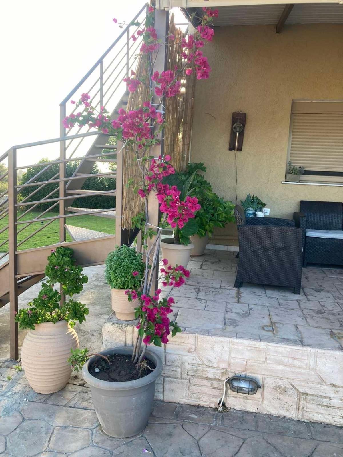 Villeta Nikol ليكسوري المظهر الخارجي الصورة